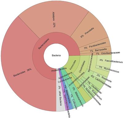 Characteristics of the gut microbiome in esports players compared with those in physical education students and professional athletes